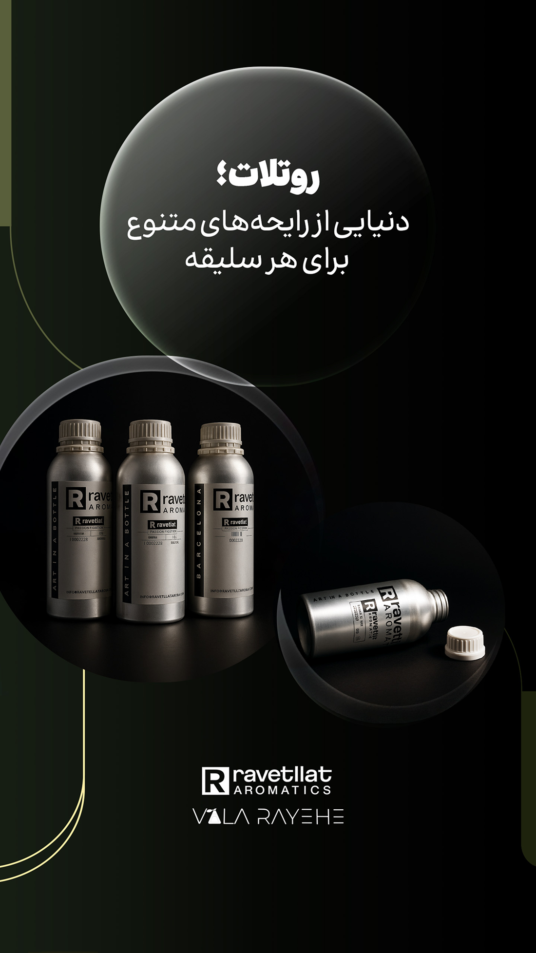 catalogue design by Tara Kashefi